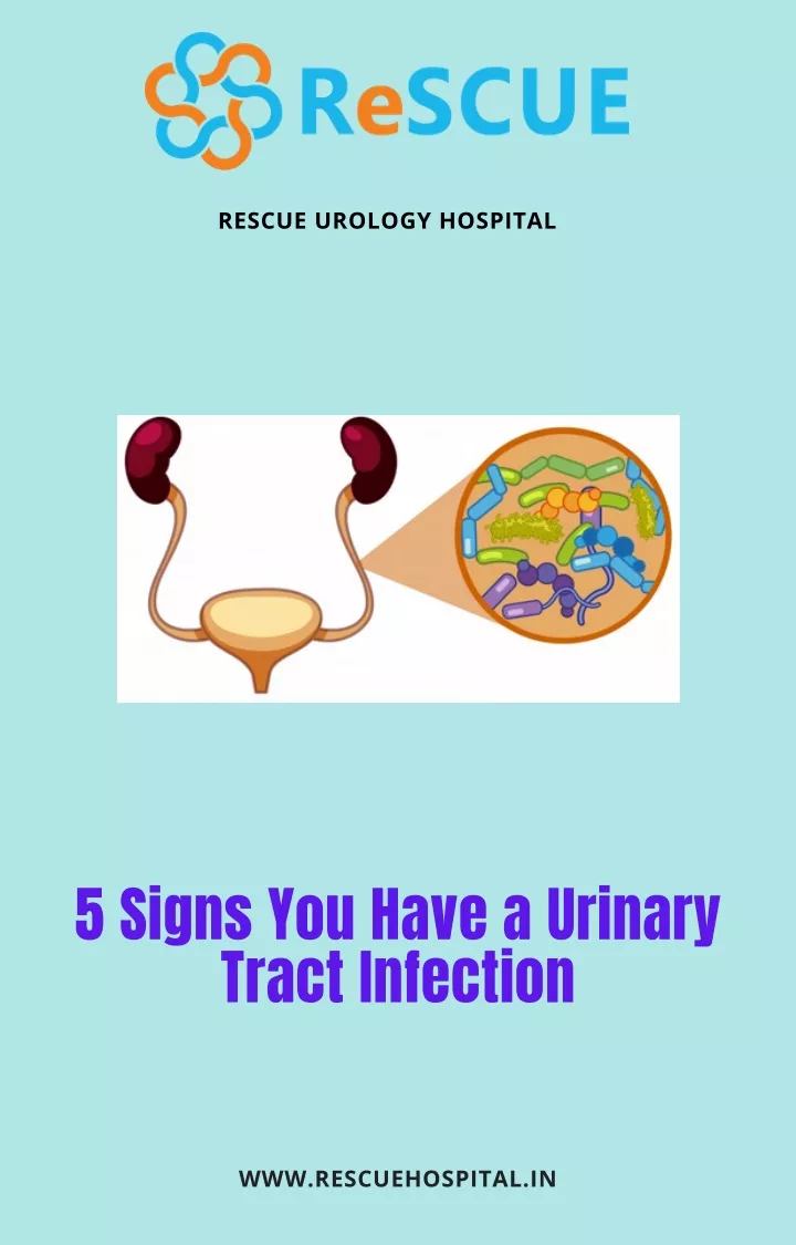 PPT 5 Signs You Have A Urinary Tract Infection Top Urologist In