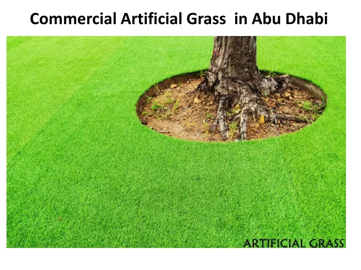 Ppt Commercial Artificial Grass In Dubai Powerpoint Presentation