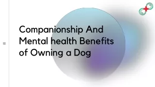 Companionship And Mental health Benefits of Owning a Dog