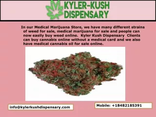 Weed Store | Marijuana News | buy Weed Store
