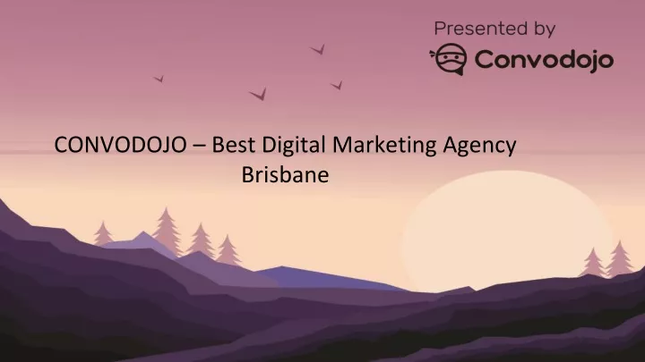 convodojo best digital marketing agency brisbane