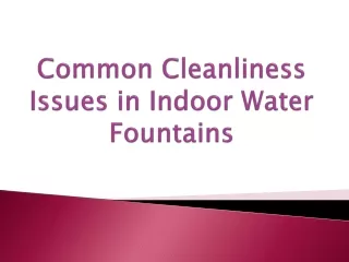 Common Cleanliness Issues in Indoor Water Fountains