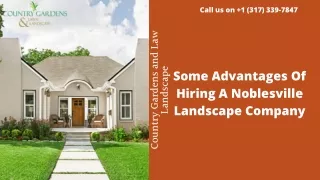 Some Advantages Of Hiring A Noblesville Landscape Company