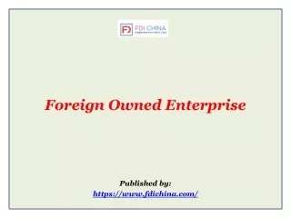 Foreign Owned Enterprise