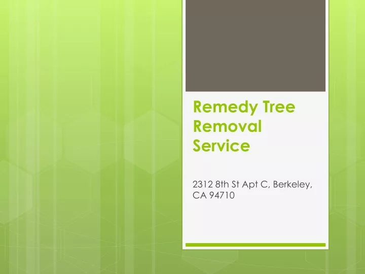 remedy tree removal service