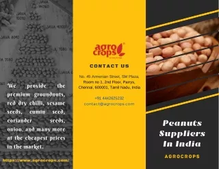 contact us