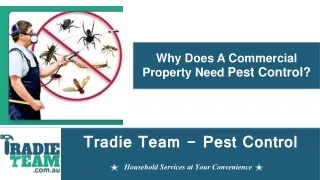 Why Does A Commercial Property Need Pest Control? - Pest Control