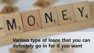 Various type of loans that you can definitely go in for if you want