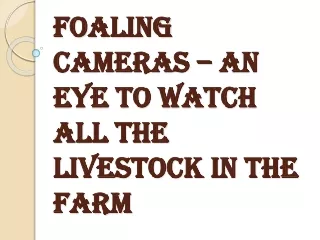 How the Foaling Cameras Help in Ensuring the Security of the Farm?
