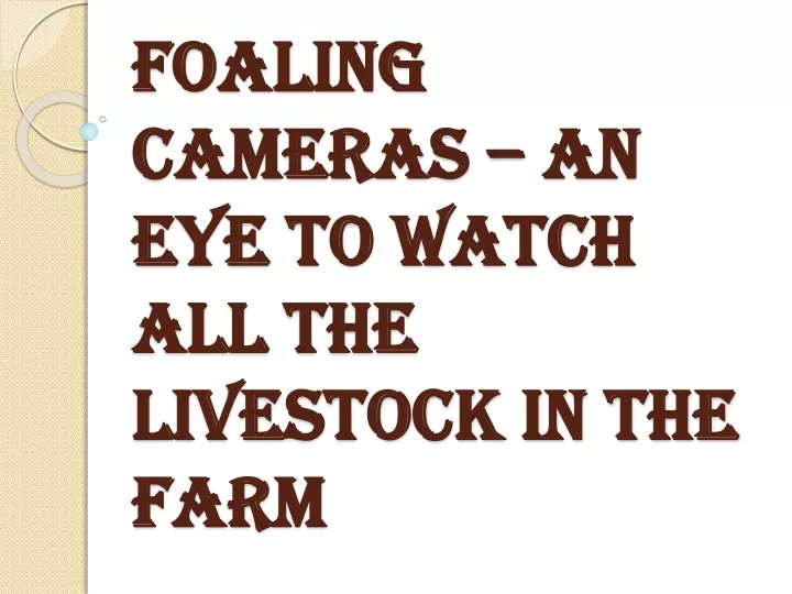 foaling cameras an eye to watch all the livestock in the farm