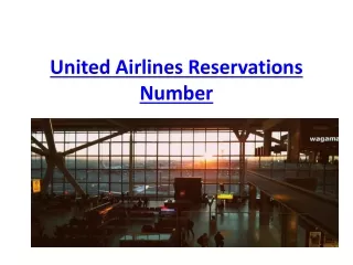 United Airlines Reservations Number 1 (800) 801-3104