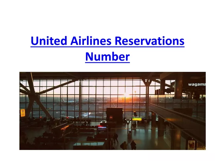 PPT - United Airlines Reservations Number 1 (800) 801-3104 PowerPoint ...
