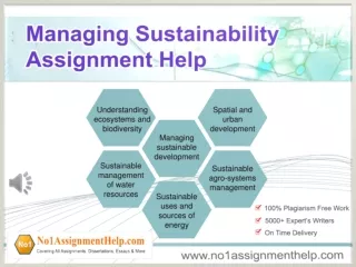 Managing Sustainability Assignment Help By MBA And Ph.D. Experts