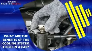 What are the Benefits of the Cooling System Flush in a Car
