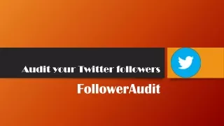 Audit Twitter followers