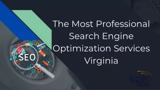 The Most Professional Search Engine Optimization Services Virginia