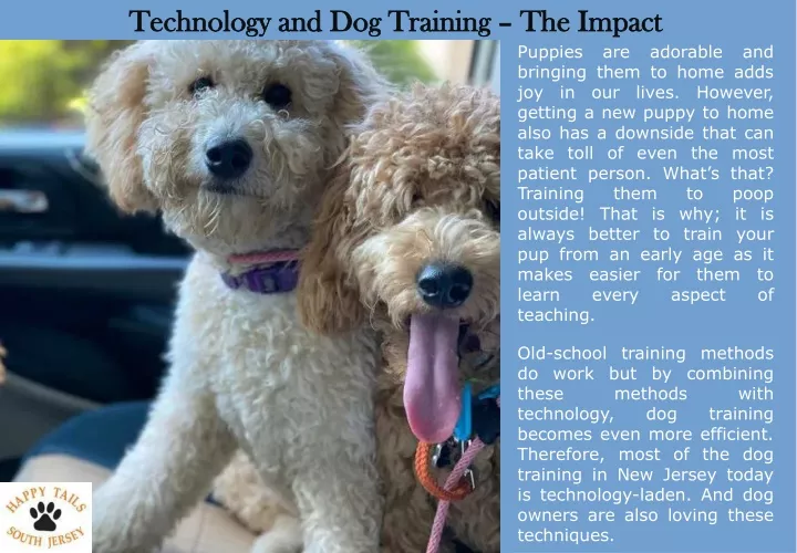 technology and dog training the impact