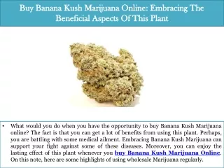Buy Banana Kush Marijuana Online Embracing The Beneficial Aspects Of This Plant