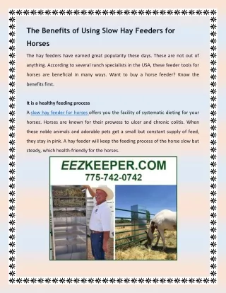 The Benefits of Using Slow Hay Feeders for Horses