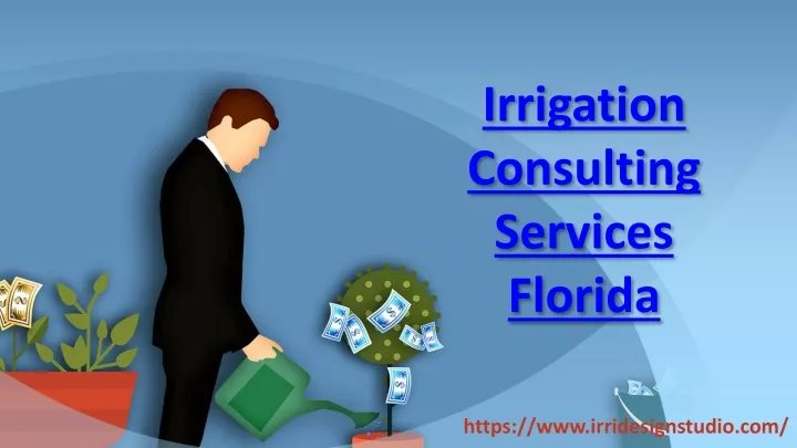 irrigation consulting services florida