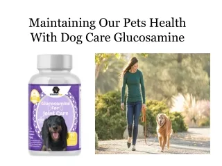 Maintaining Our Pets Health With Dog Care Glucosamine