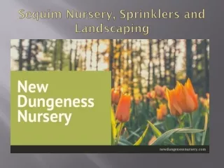 Sequim Nursery & Sprinklers and Landscaping