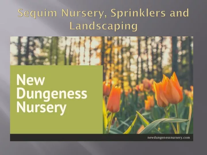 sequim nursery sprinklers and landscaping