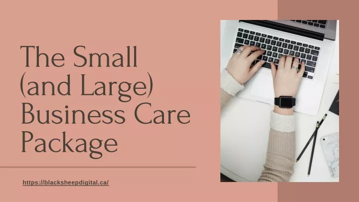 the sma ll and large business care package