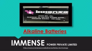 Alkaline Batteries- Immense Power Private Ltd