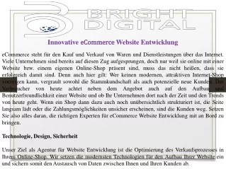 innovative ecommerce website entwicklung
