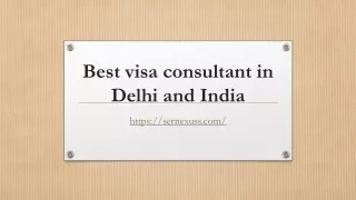 best visa consultant in delhi and india