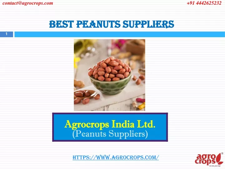 best peanuts suppliers
