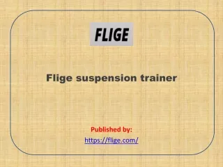 Flige suspension trainer