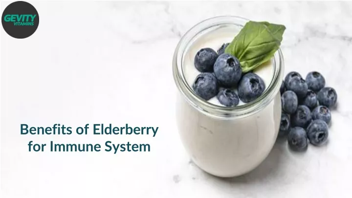 benefits of elderberry for immune system