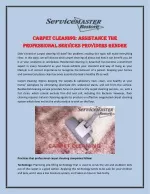 Carpet cleaning: Assistance The Professional Services Providers Render