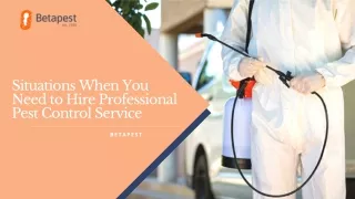 Situations When You Need to Hire Professional Pest Control Service