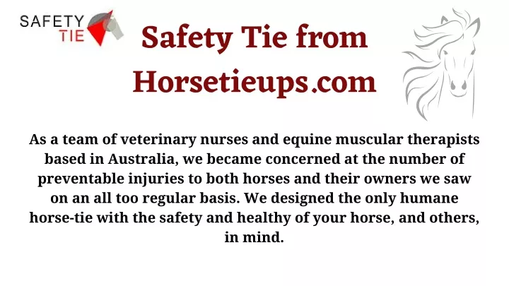 safety tie from horsetieups com