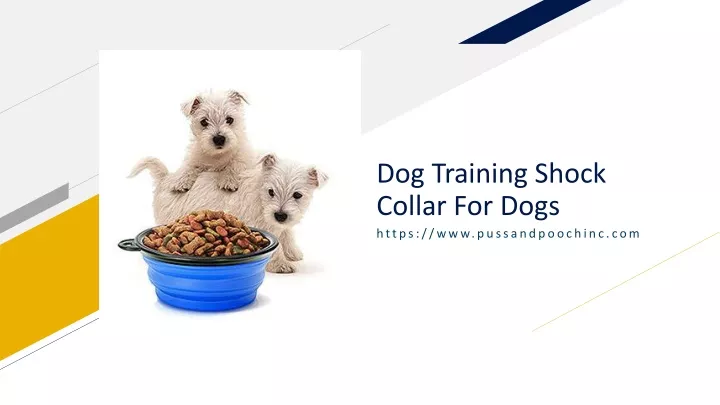 dog training shock collar for dogs