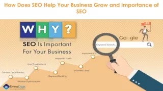 How Does SEO Help Your Business Grow and Importance of SEO
