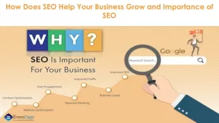 how does seo help your business grow