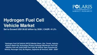 Hydrogen fuel cell vehicle market