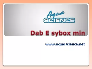 dab e sybox min