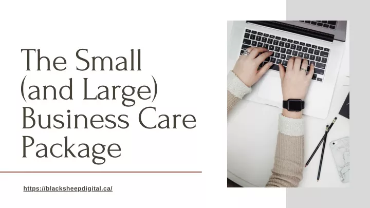 the small and large business care package