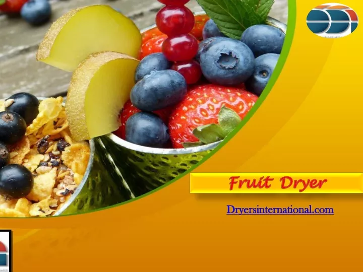 fruit dryer