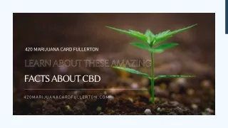 Learn About These Amazing Facts About CBD