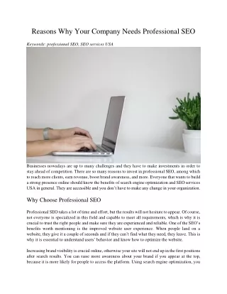 reasons why your company needs professional seo