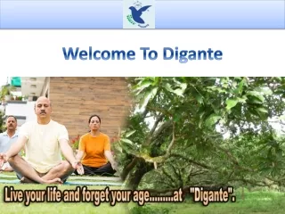 Welcome To Digante