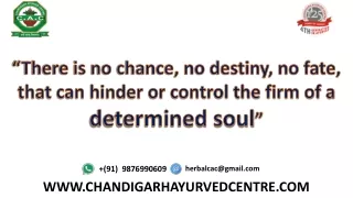 there is no chance no destiny no fate that