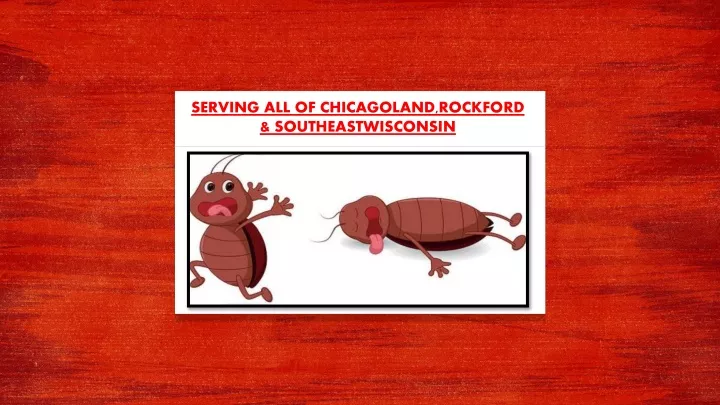 serving all of chicagoland rockford