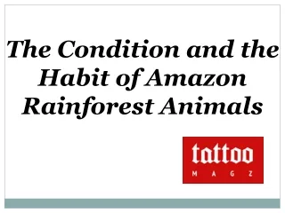 the condition and the habit of amazon rainforest